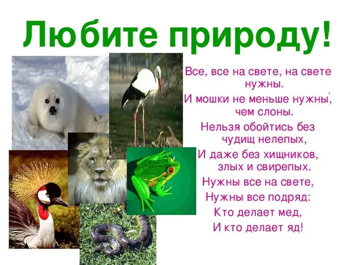 2f18338612e6ecb130ee3c0d7bbb28299558c16f