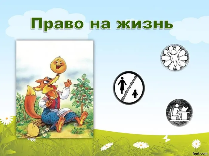 02.jpg