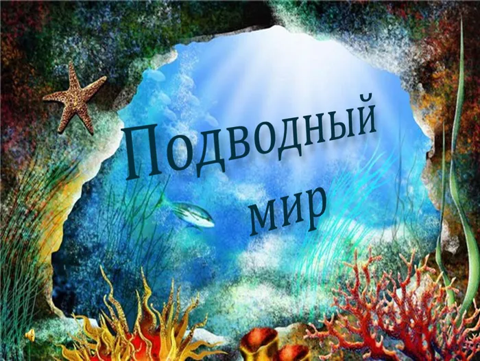 1d5ac36f6919c5175643124f680de9cf91