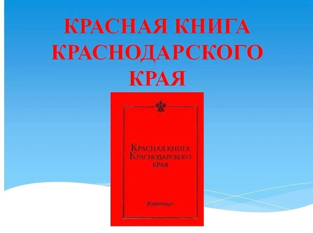 gwXgiJIHzXU
