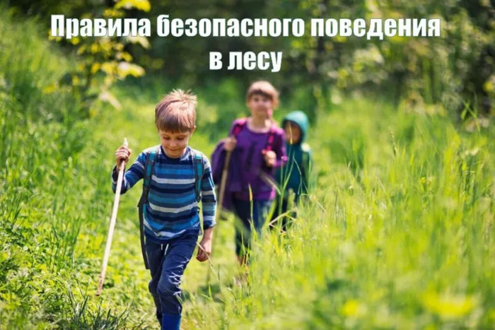 отдыхаем