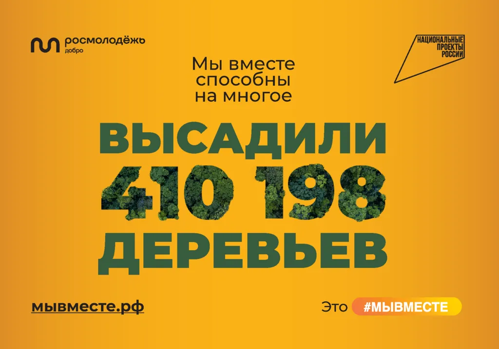 forest 100 700-01