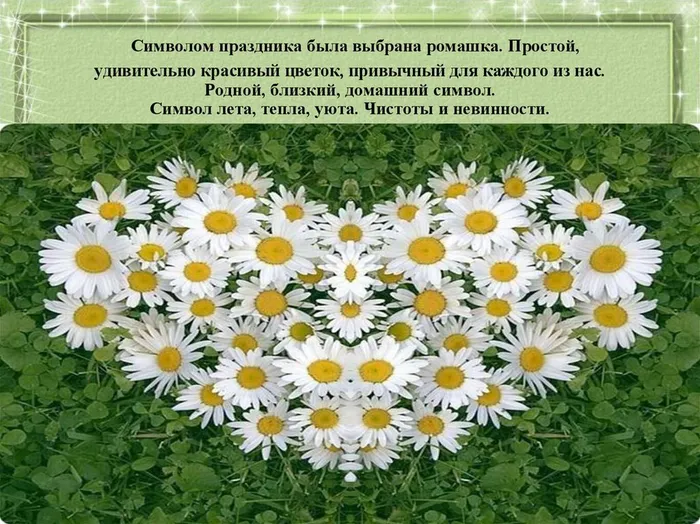 slide-11.jpg