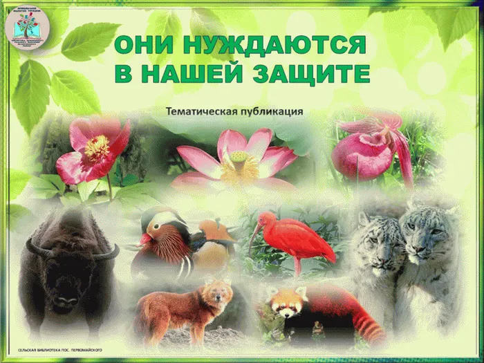 они-нуждаются-в-нашей-защите-1-768x576