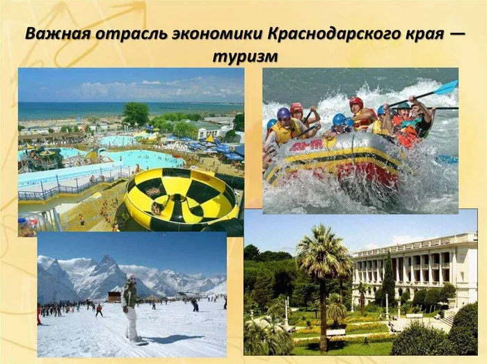 slide-11