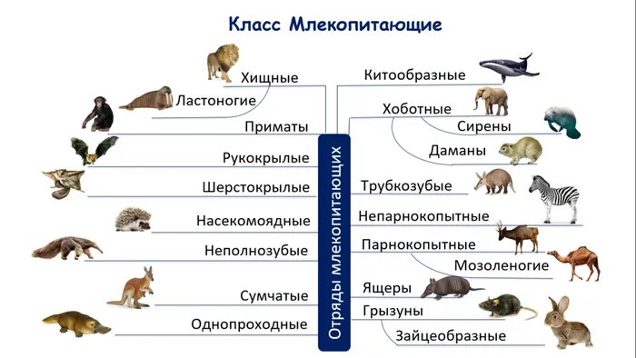 b133e9eee746baf621c8f09810b3ebde